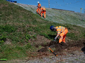 Rabbit Netting Installation Schemes, Eastern Region - photo 1