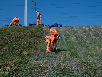 Rabbit Netting Installation Schemes, Eastern Region - photo 2