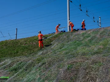 Rabbit Netting Installation Schemes, Eastern Region - photo 4