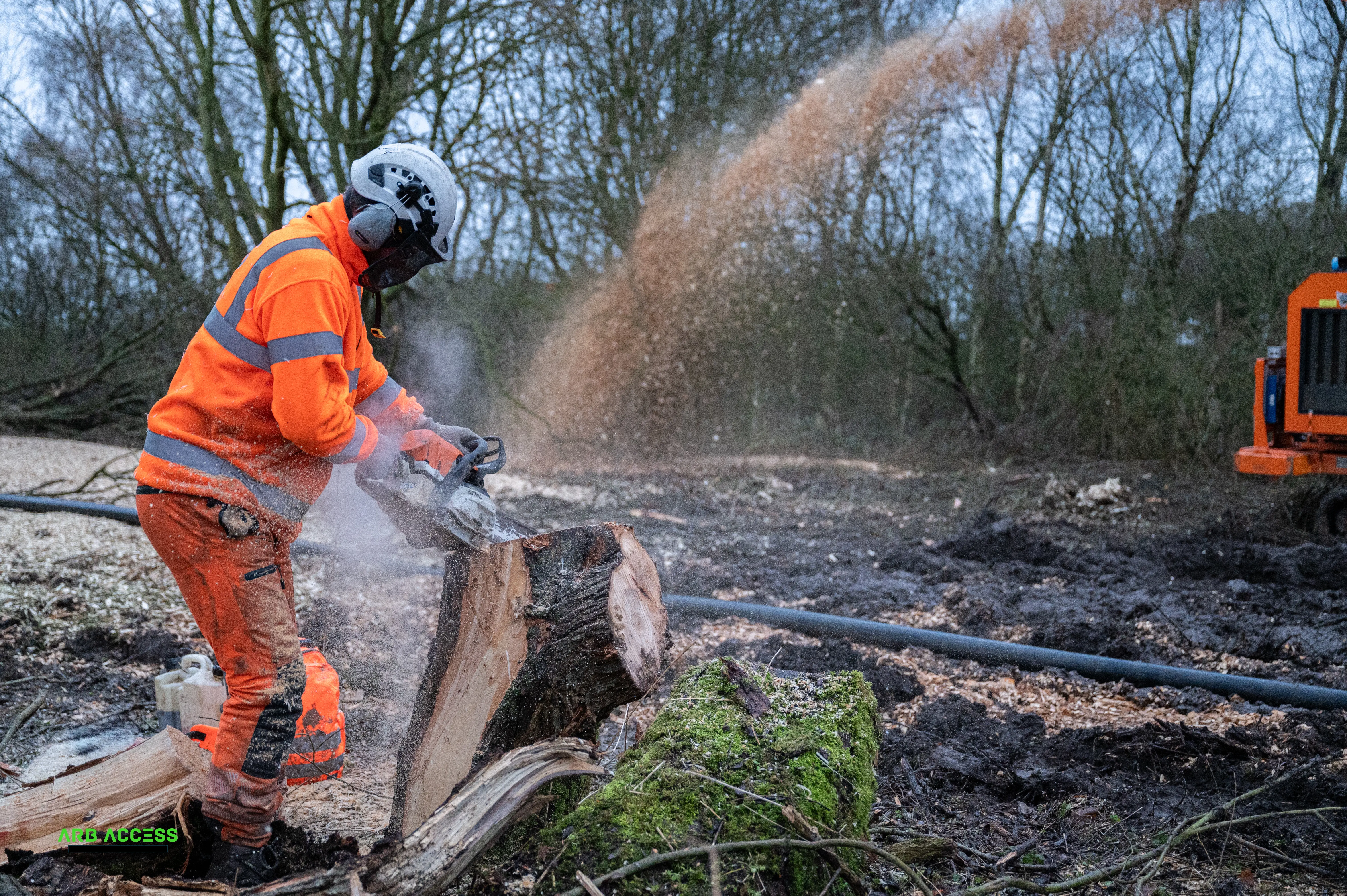 Rail vegetation management